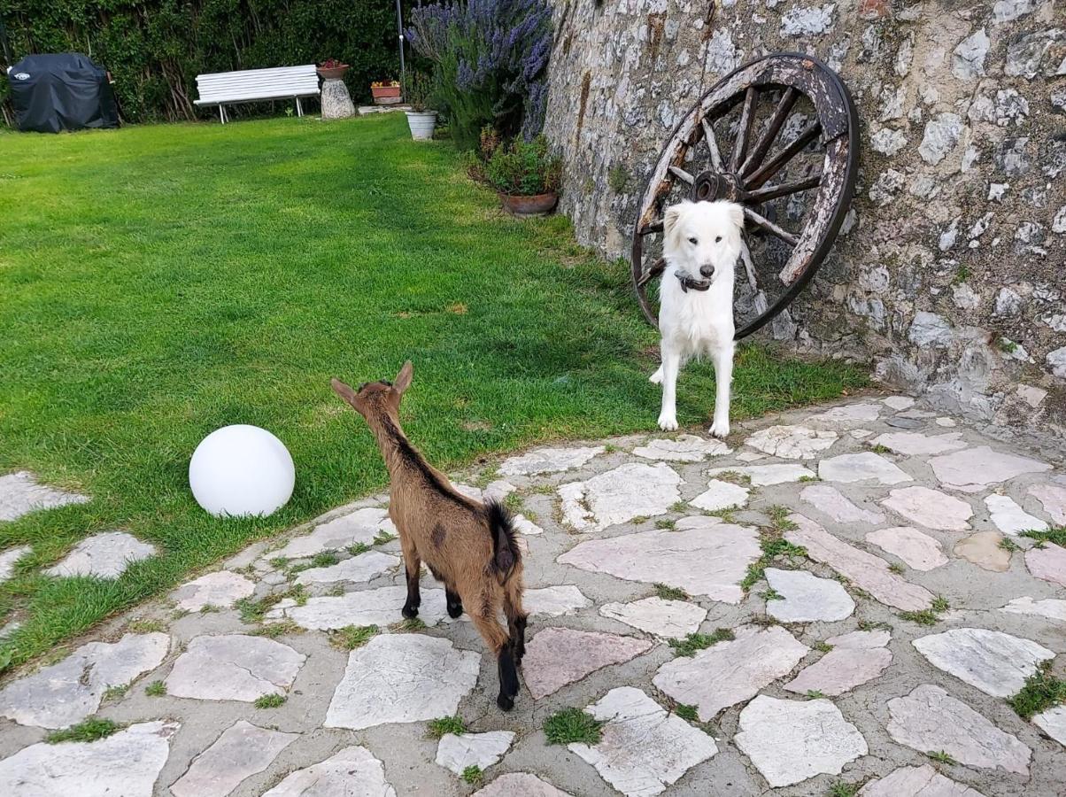 Agriturismo Campagna In Compagnia Vallo di Nera المظهر الخارجي الصورة
