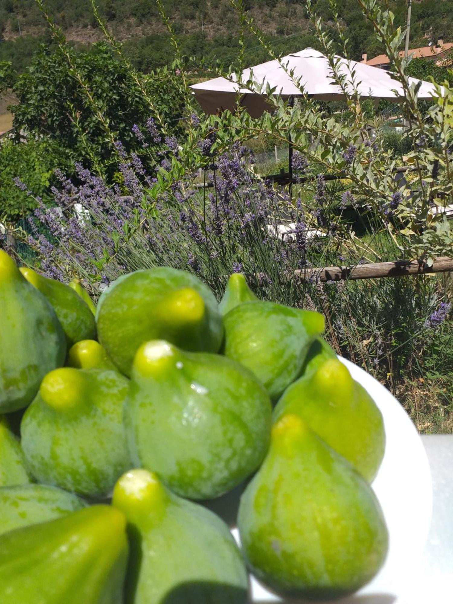 Agriturismo Campagna In Compagnia Vallo di Nera المظهر الخارجي الصورة