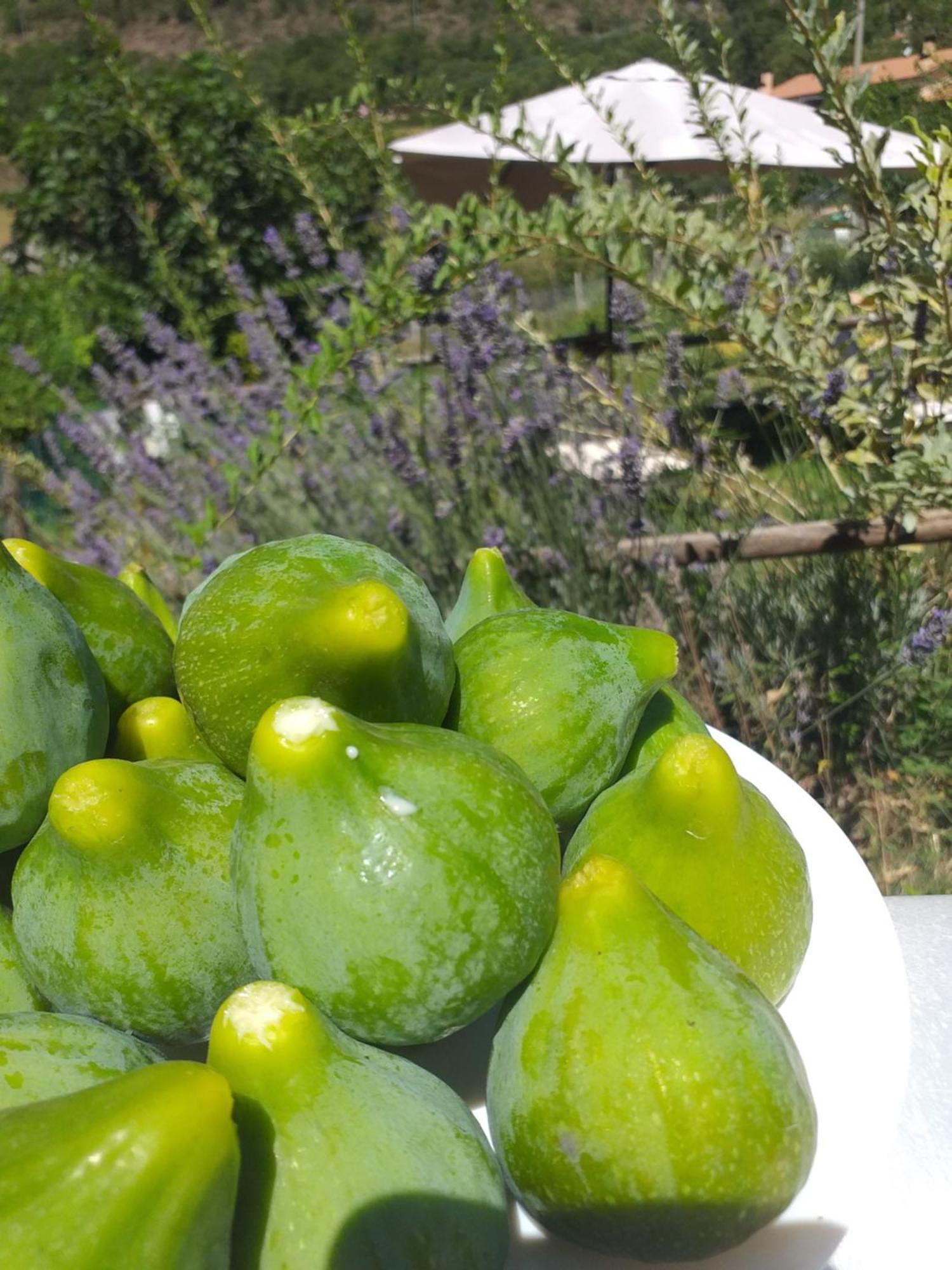 Agriturismo Campagna In Compagnia Vallo di Nera المظهر الخارجي الصورة