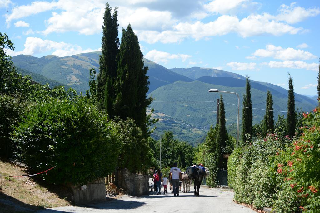 Agriturismo Campagna In Compagnia Vallo di Nera المظهر الخارجي الصورة